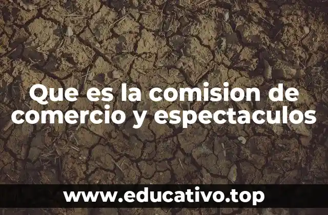 Que es la comision de comercio y espectaculos