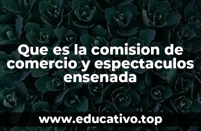 Que es la comision de comercio y espectaculos ensenada