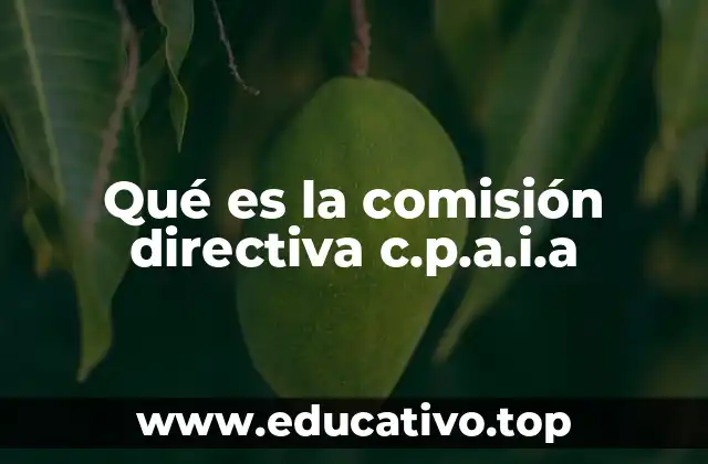 Qué es la comisión directiva c.p.a.i.a