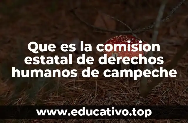 Que es la comision estatal de derechos humanos de campeche