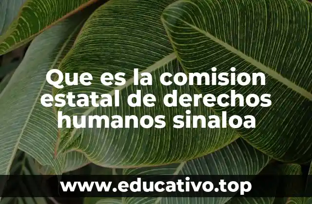 Que es la comision estatal de derechos humanos sinaloa