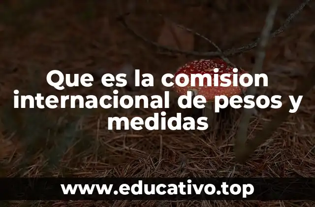 Que es la comision internacional de pesos y medidas