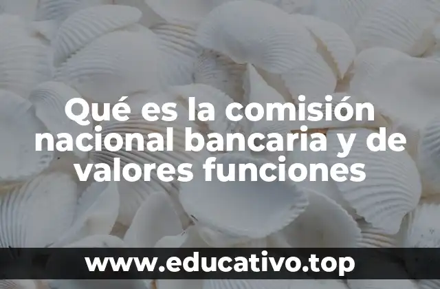 Qué es la comisión nacional bancaria y de valores funciones