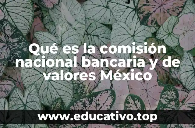 Qué es la comisión nacional bancaria y de valores México