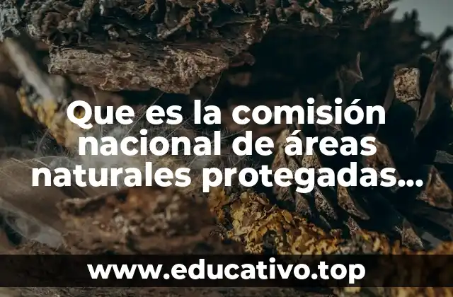 Que es la comisión nacional de áreas naturales protegadas conanp