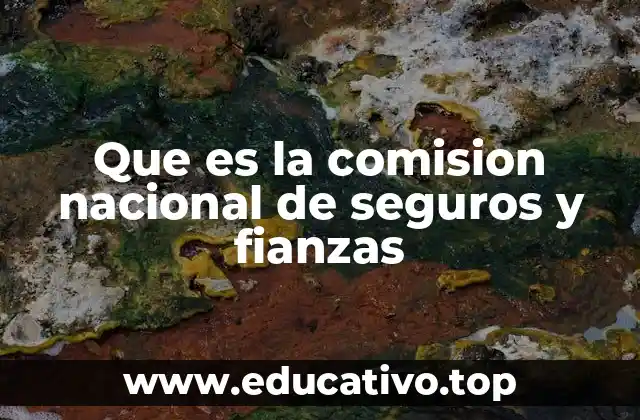 Que es la comision nacional de seguros y fianzas