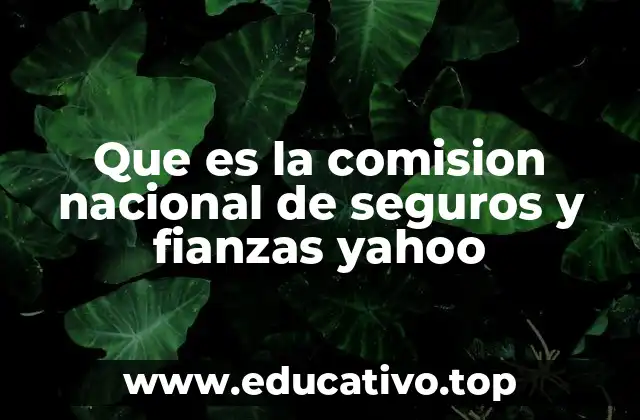 Que es la comision nacional de seguros y fianzas yahoo
