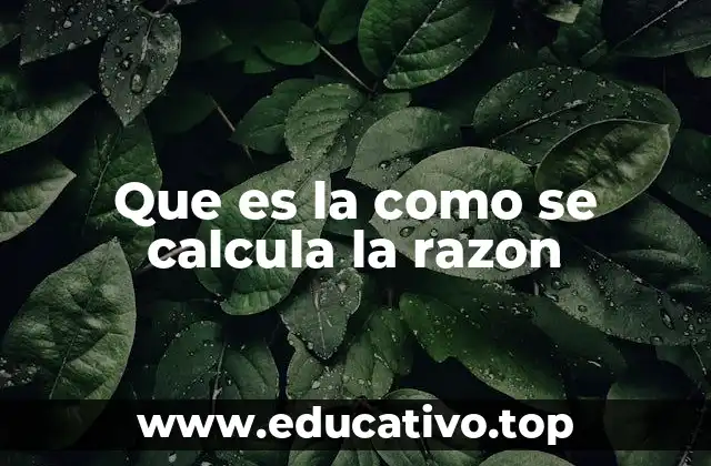Que es la como se calcula la razon
