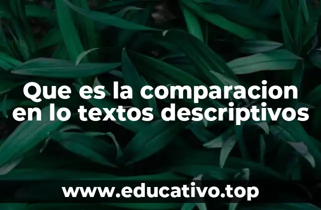 Que es la comparacion en lo textos descriptivos