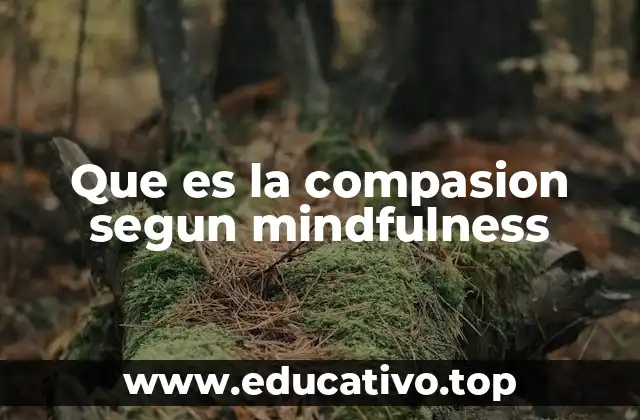 Que es la compasion segun mindfulness