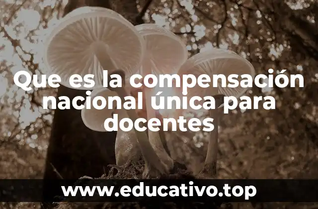 Que es la compensación nacional única para docentes