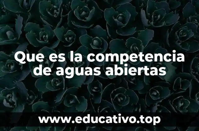 Que es la competencia de aguas abiertas