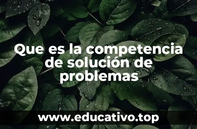 Que es la competencia de solución de problemas