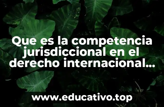 Que es la competencia jurisdiccional en el derecho internacional privado