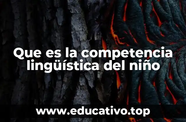 El desarrollo de las habilidades comunicativas en la infancia