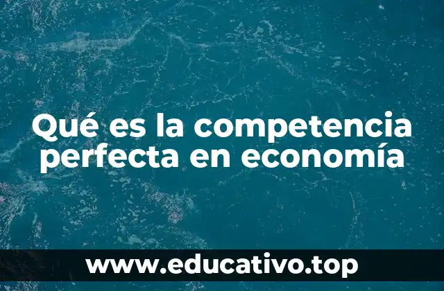 Qué es la competencia perfecta en economía
