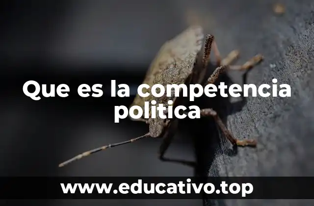 Que es la competencia politica