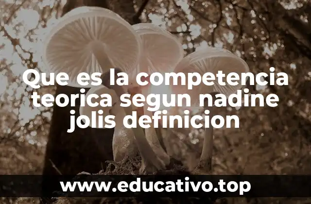 Que es la competencia teorica segun nadine jolis definicion