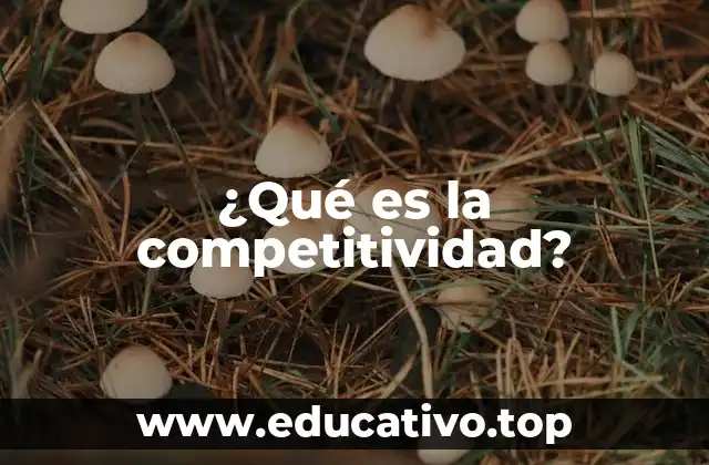¿Qué es la competitividad?