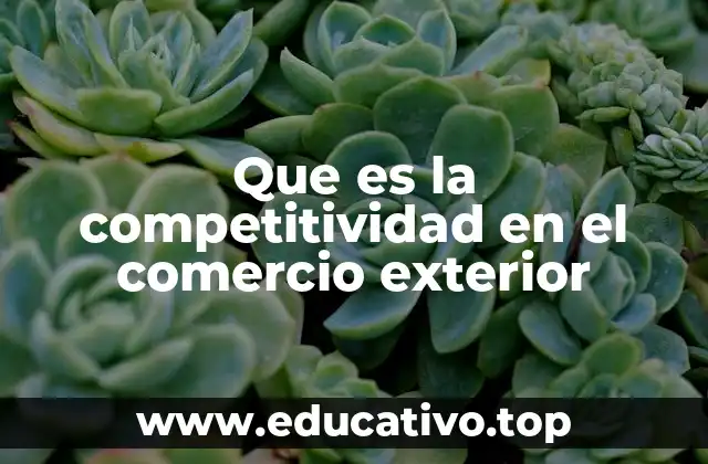 Que es la competitividad en el comercio exterior