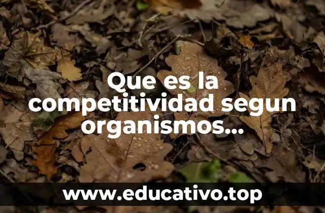 Que es la competitividad segun organismos internacionales