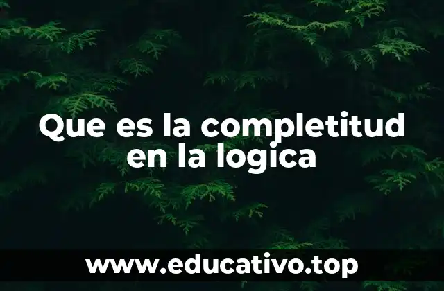 La importancia de la completitud en sistemas formales