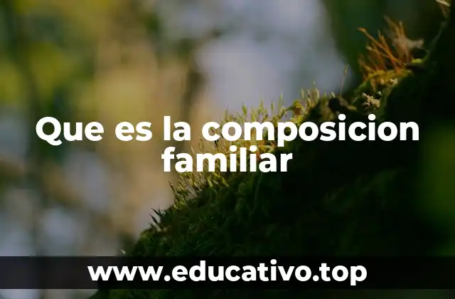 Que es la composicion familiar