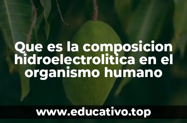 Que es la composicion hidroelectrolitica en el organismo humano