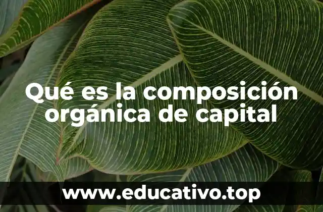 Qué es la composición orgánica de capital