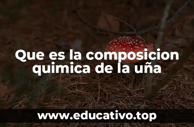 Que es la composicion quimica de la uña