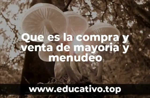 Que es la compra y venta de mayoria y menudeo