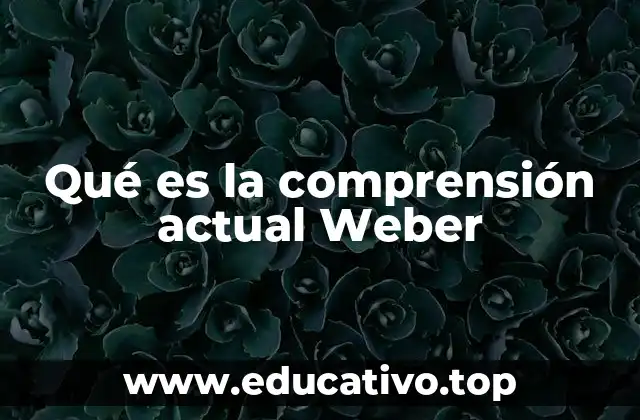 Qué es la comprensión actual Weber
