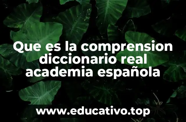 Que es la comprension diccionario real academia española