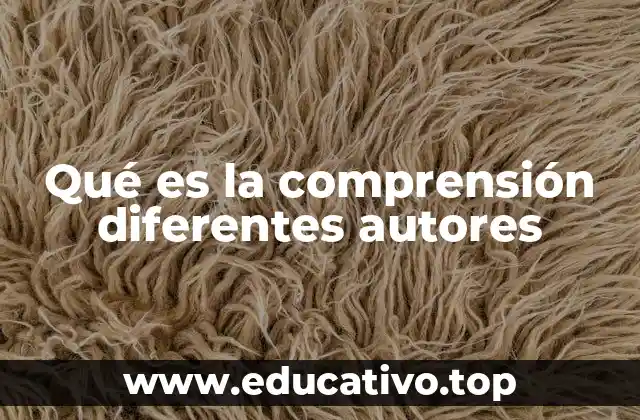 Qué es la comprensión diferentes autores