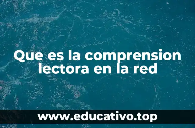 Que es la comprension lectora en la red