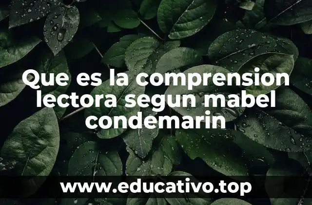 Que es la comprension lectora segun mabel condemarin