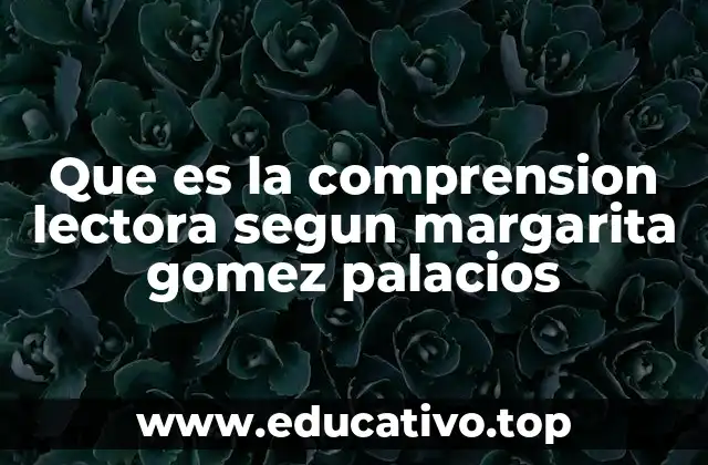 Que es la comprension lectora segun margarita gomez palacios