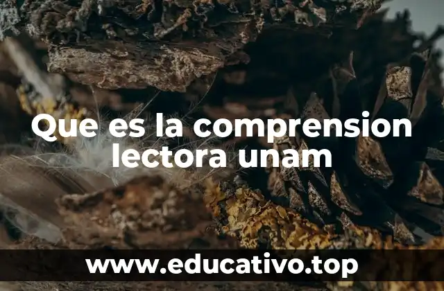 Que es la comprension lectora unam