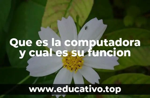 Que es la computadora y cual es su funcion