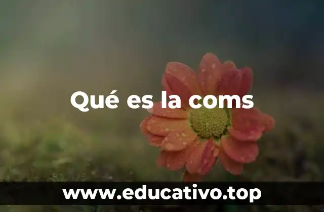 La relevancia de la comunicación en la sociedad moderna