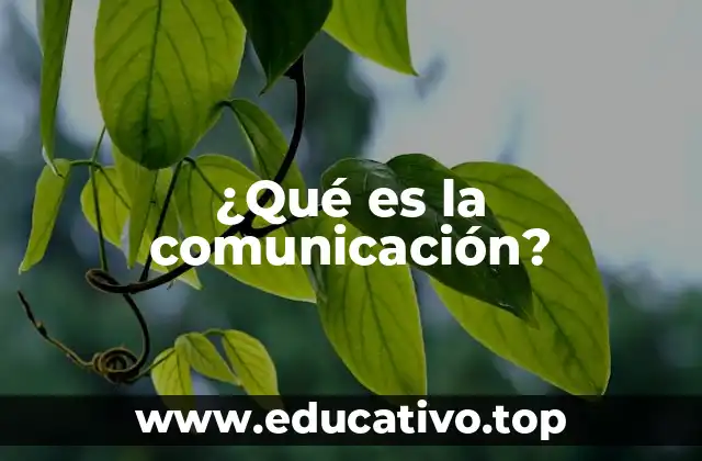 El proceso de la comunicación humana