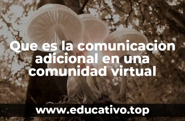 Que es la comunicacion adicional en una comunidad virtual