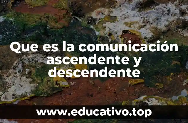 Que es la comunicación ascendente y descendente