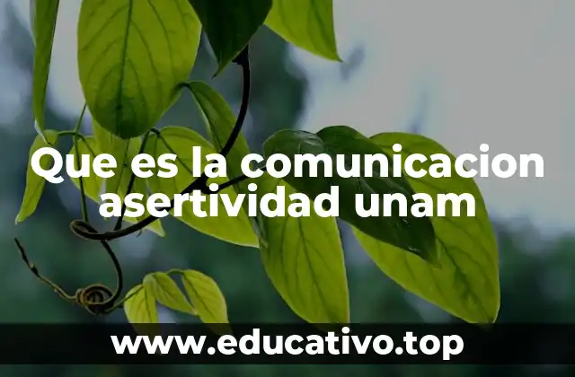 Que es la comunicacion asertividad unam