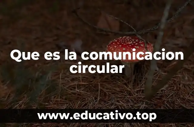 Que es la comunicacion circular