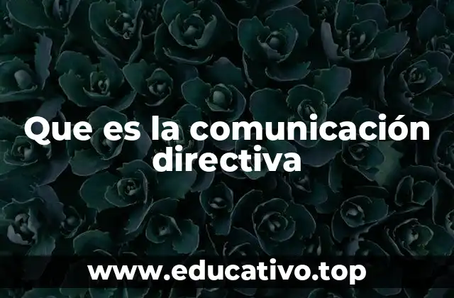 Que es la comunicación directiva