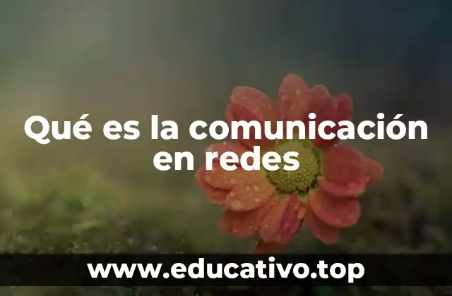 Qué es la comunicación en redes