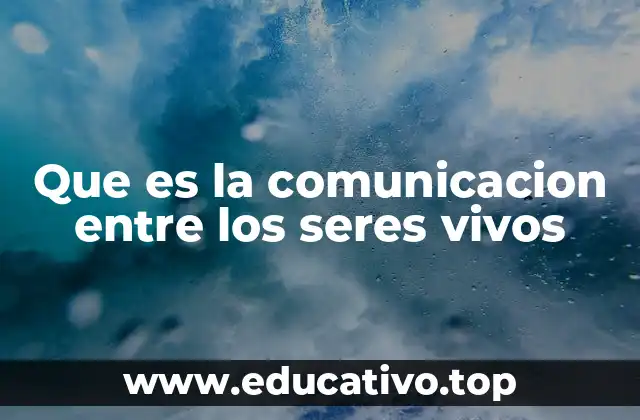 Que es la comunicacion entre los seres vivos