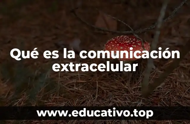 Los canales de comunicación entre células