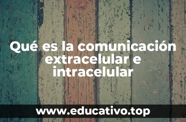 Qué es la comunicación extracelular e intracelular